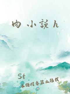 肉 小说 h