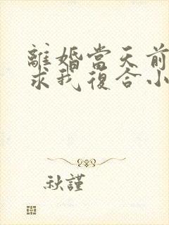 离婚当天前夫跪求我复合小说阅读
