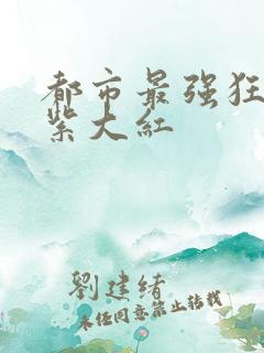 都市最强狂兵大紫大红