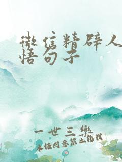 微信精辟人生感悟句子