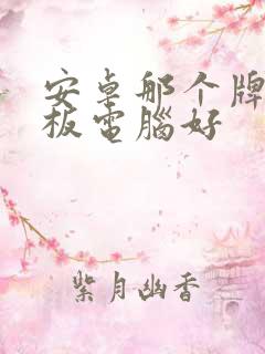 安卓那个牌子平板电脑好