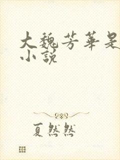 大魏芳华是什么小说