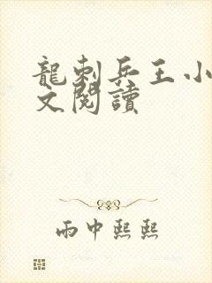 龙刺兵王小说全文阅读