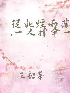 从此烟雨落京城,一人撑伞一人行