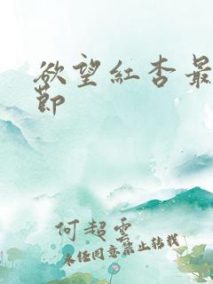 欲望红杏最新章节