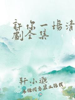 许你一场清欢短剧全集