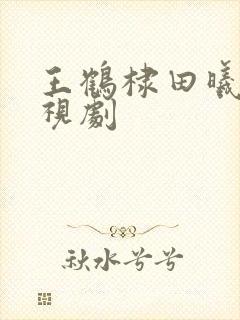 王鹤棣田曦薇电视剧