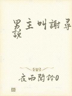 男主叫谢寻的小说
