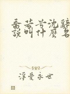 乔若兮沈辞安小说叫什么名字