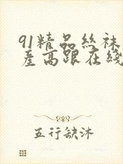 91精品丝袜国产高跟在线