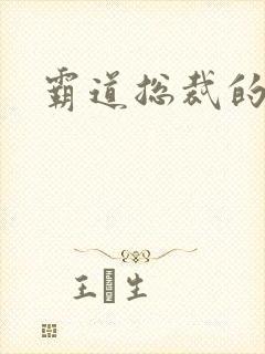 霸道总裁的黄文
