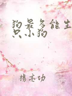 狗最多能生多少只小狗