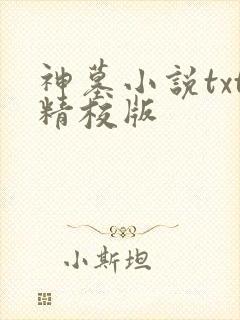 神墓小说txt精校版
