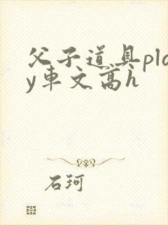 父子道具play车文高h