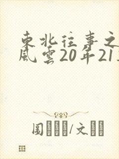 东北往事之黑道风云20年21集
