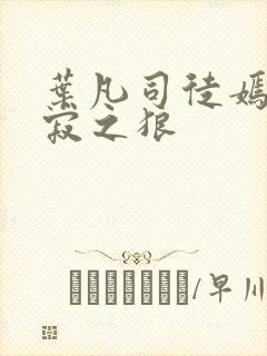 叶凡司徒嫣然孤寂之狼