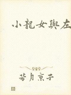小龙女与左清剑