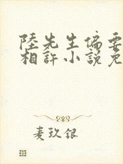 陆先生偏要以婚相许小说免费