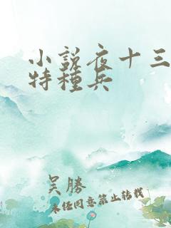小说夜十三都市特种兵