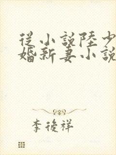 从小说陆少的暖婚新妻小说