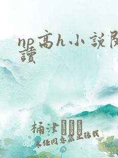 np高h小说阅读