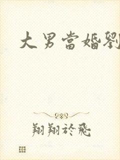 大男当婚刘晨曦