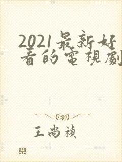 2021最新好看的电视剧