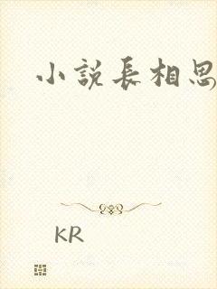 小说长相思番外