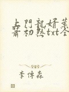上门龙婿叶辰,萧初然txt全文下载