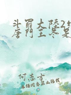 斗罗大陆2绝世唐门王冬是谁