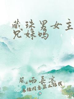 藏珠男女主是亲兄妹吗