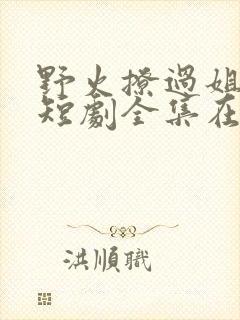 野火撩过姐姐心短剧全集在线观看