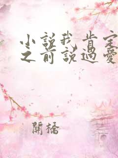 小说我肯定很久之前说过爱你小说