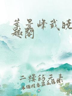 叶晨峰武晓菲笔趣阁