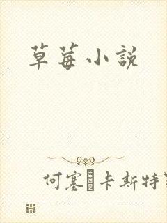 草莓小说