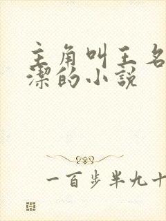 主角叫王名浩李洁的小说