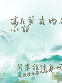 高h荤爽肉欲文小说