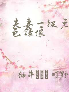 夫妻一级免费黄色录像