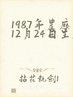 1987年农历12月24日生辰八字