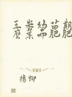 玉米幼苗期用什么叶面肥肥最佳