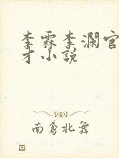李霖李澜官场奇才小说