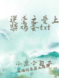 逆袭之爱上情敌柴鸡蛋txt