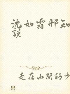 沈如霜邢知衍小说
