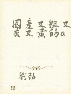 国产又粗又猛又爽又黄的a