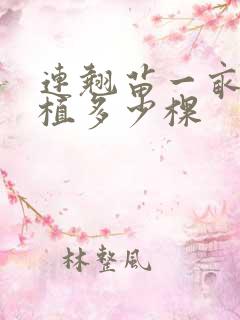 连翘苗一亩地种植多少棵