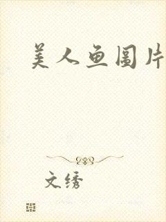 美人鱼图片高清