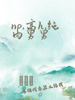 np,高h,纯肉男男