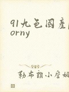 91九色国产porny