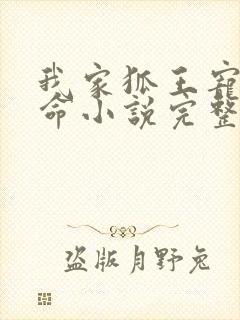 我家狐王宠妻如命小说完整免费