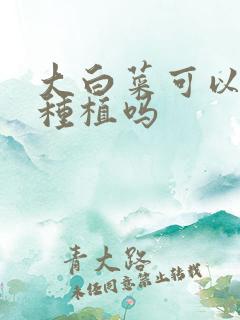 大白菜可以重茬种植吗